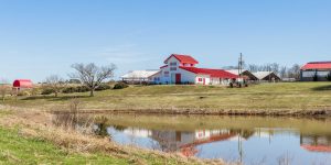 Pastoral image with small pond, red roofed barn-like museum